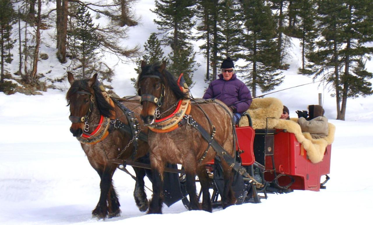 Hotel Roseg-Gletscher Pontresina Ngoại thất bức ảnh