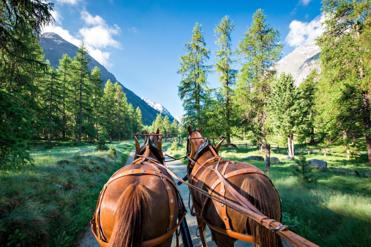 Hotel Roseg-Gletscher Pontresina Ngoại thất bức ảnh