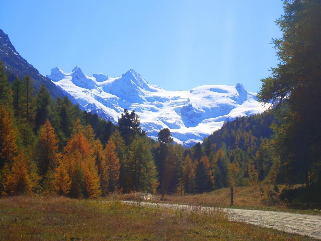 Hotel Roseg-Gletscher Pontresina Ngoại thất bức ảnh