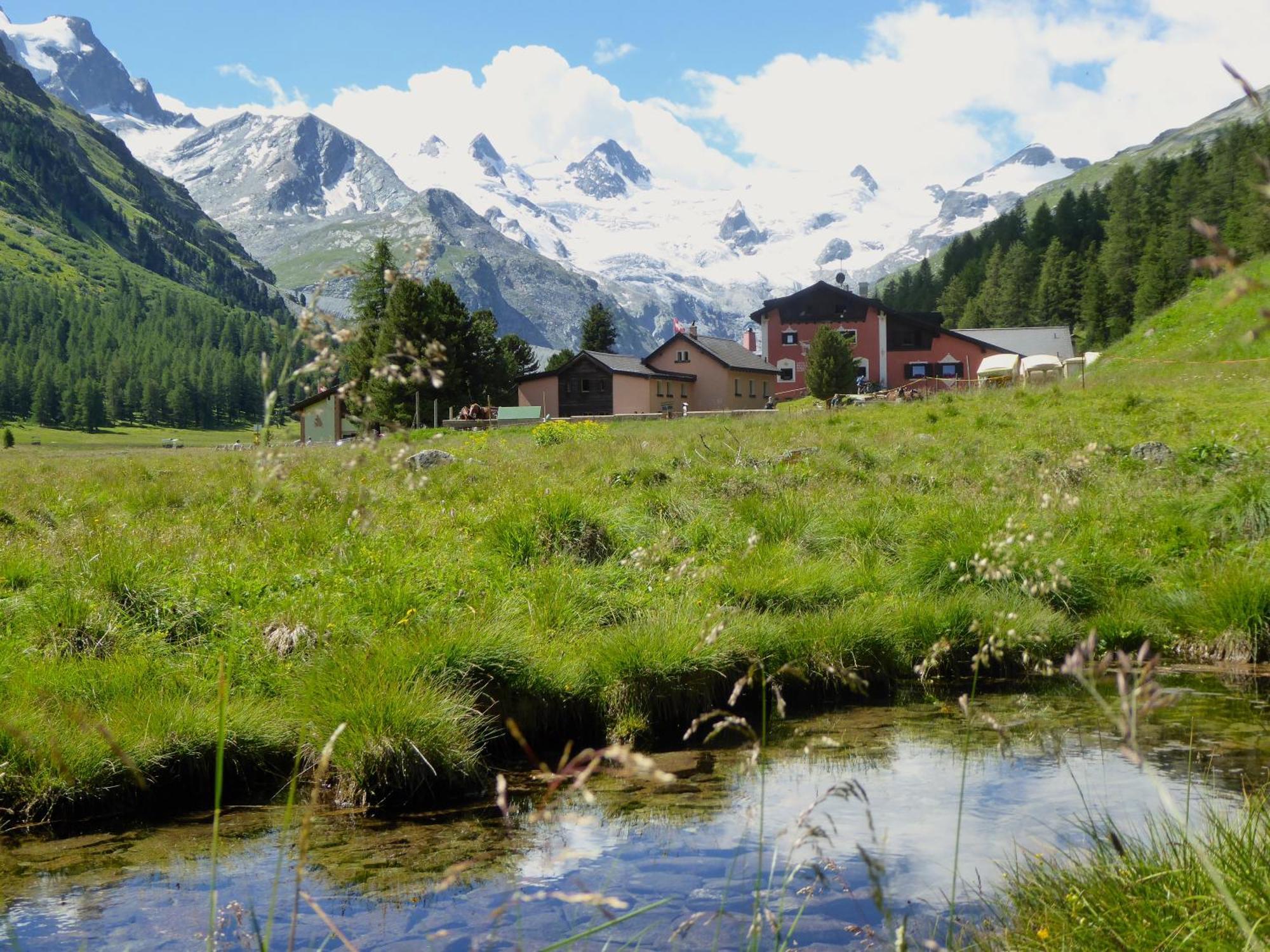 Hotel Roseg-Gletscher Pontresina Ngoại thất bức ảnh
