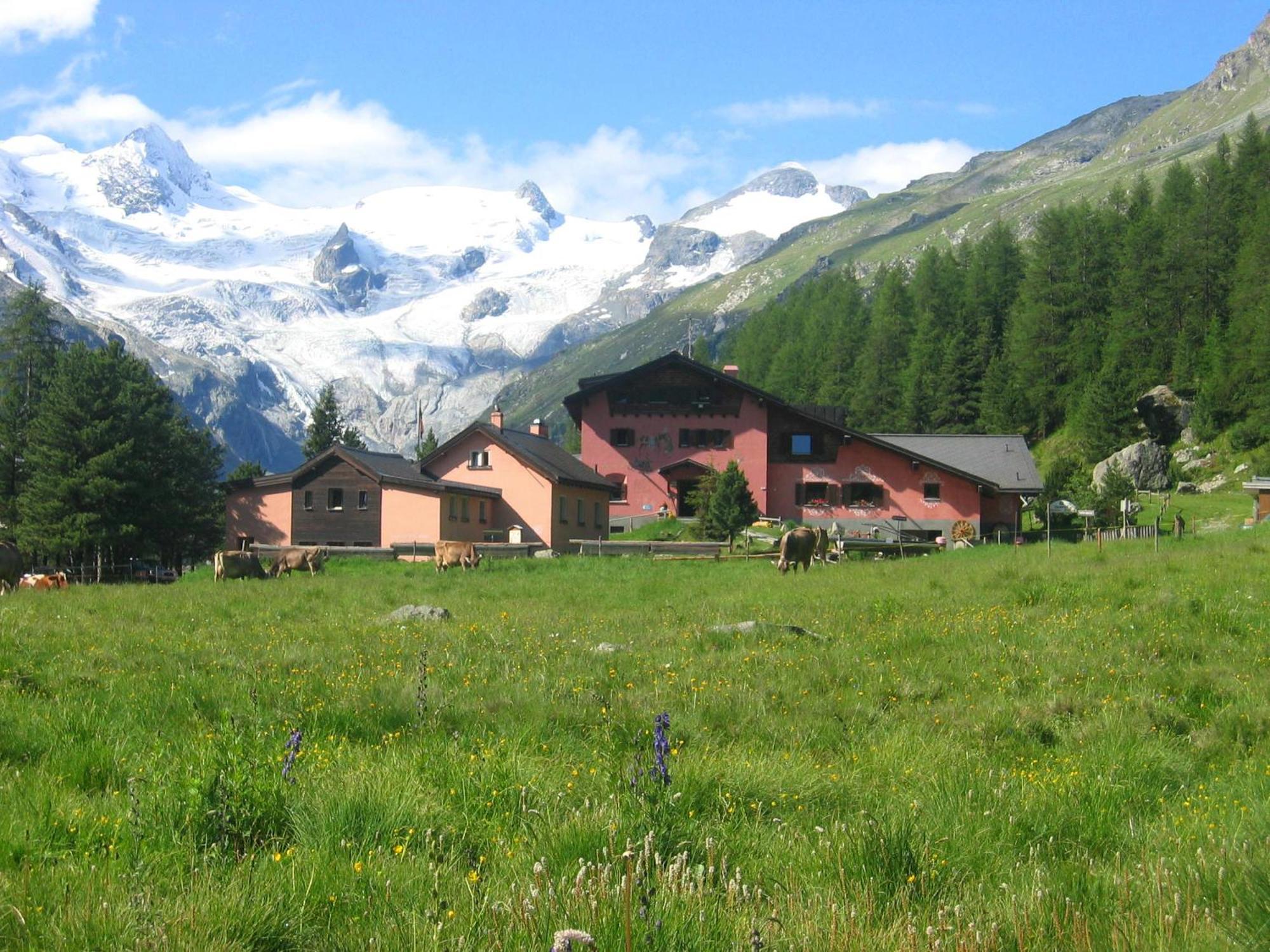 Hotel Roseg-Gletscher Pontresina Phòng bức ảnh