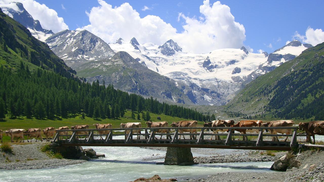 Hotel Roseg-Gletscher Pontresina Ngoại thất bức ảnh